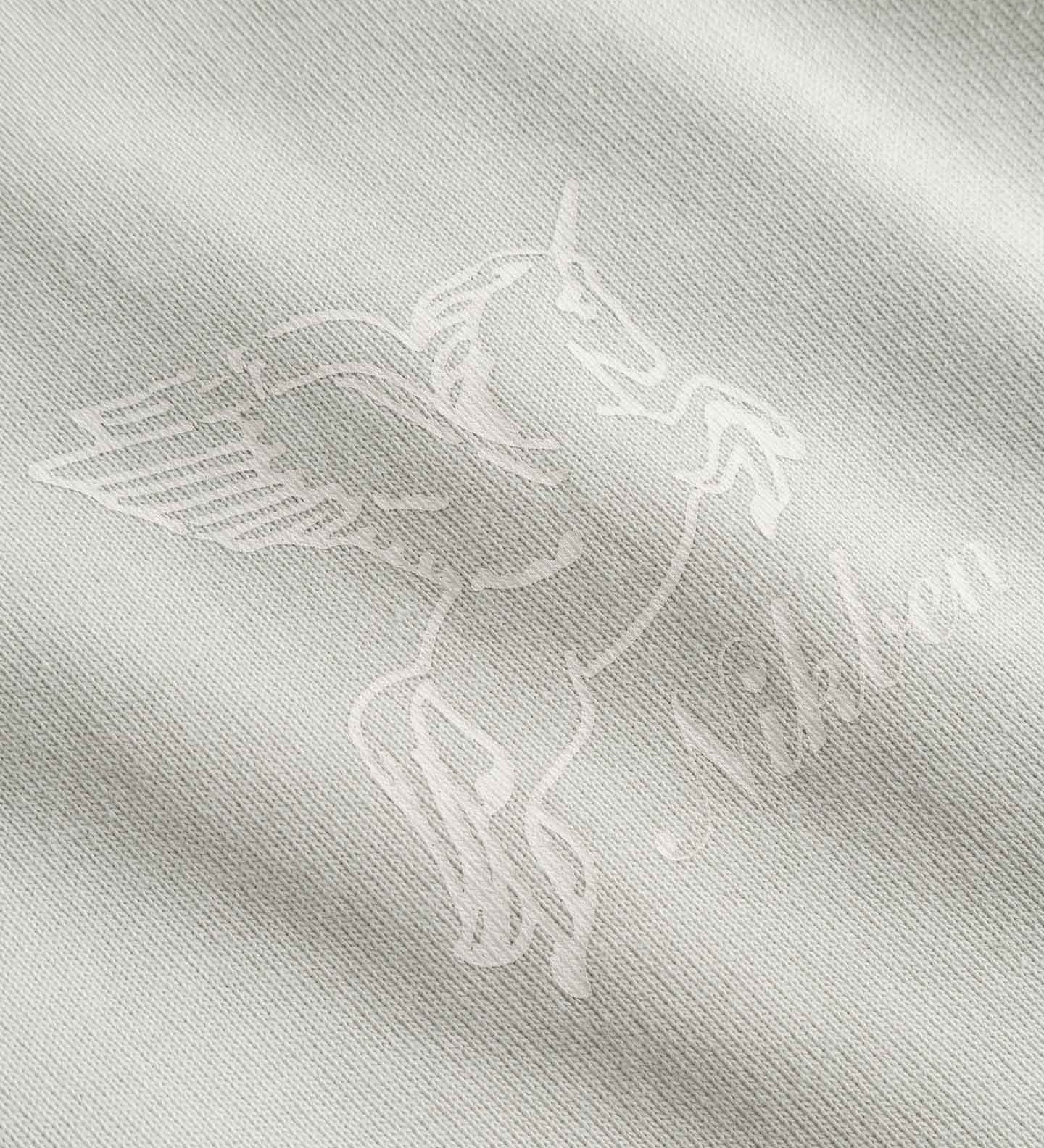 Close-up of design of a winged creature.