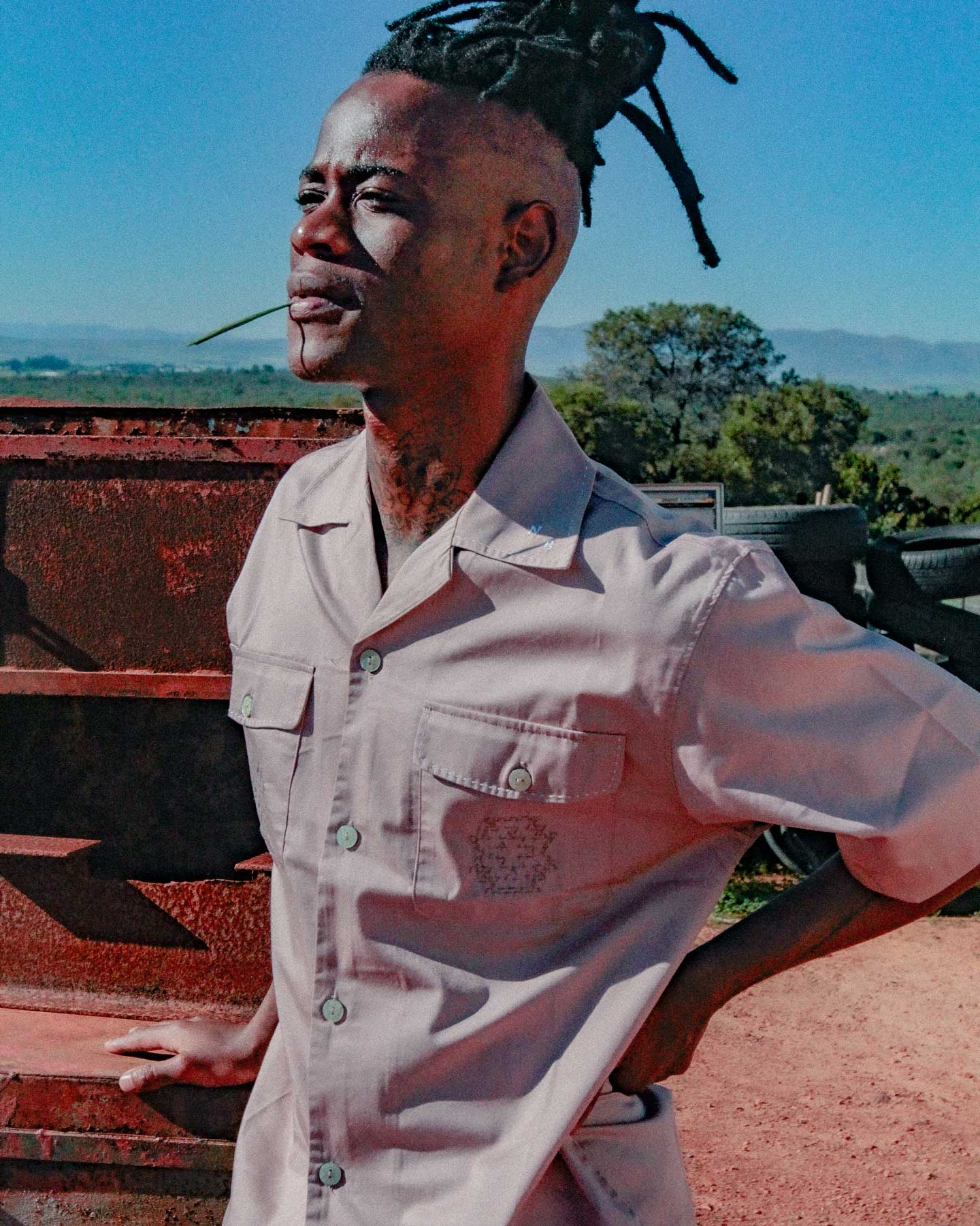 Slide image