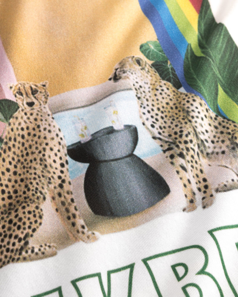 Close up of leopard print